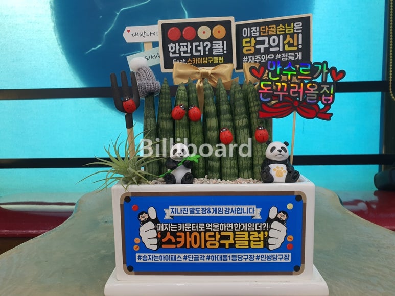 스카이당구클럽 이미지