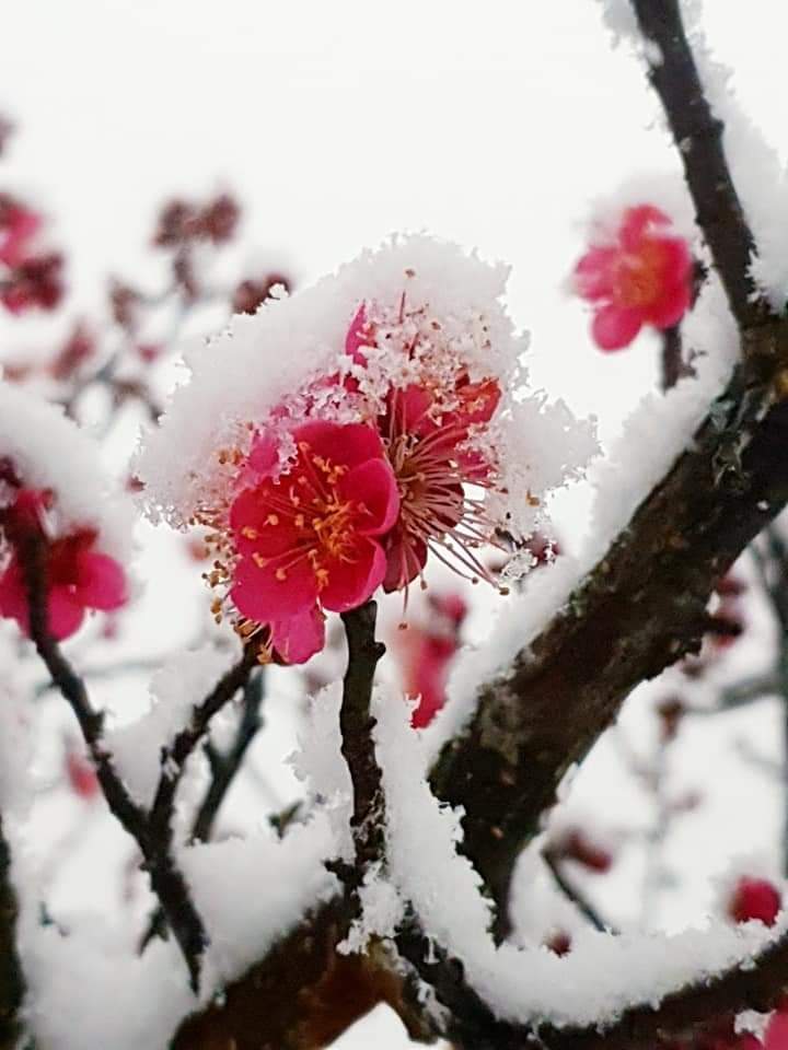 충북직지환경 이미지