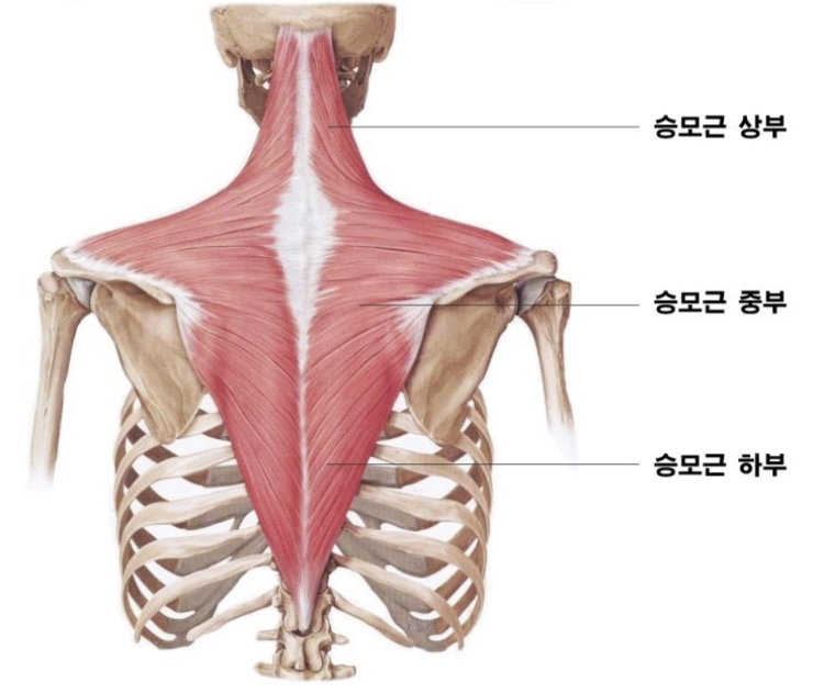 엘제이메디컬트레이닝 이미지