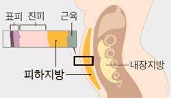 쎄짐 이미지