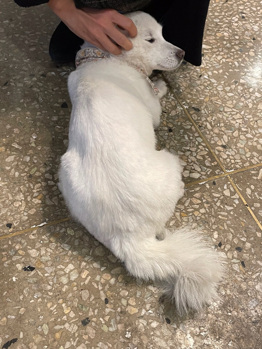 홍대네컷 이미지