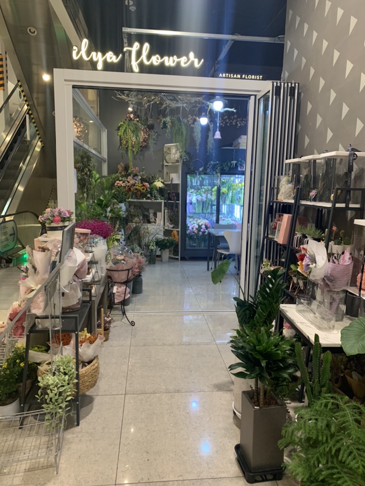 일리아플라워 이미지