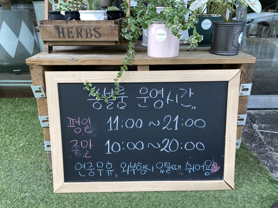 쏭블룸 이미지