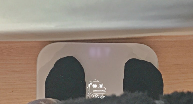 꿈꾸는분홍 이미지