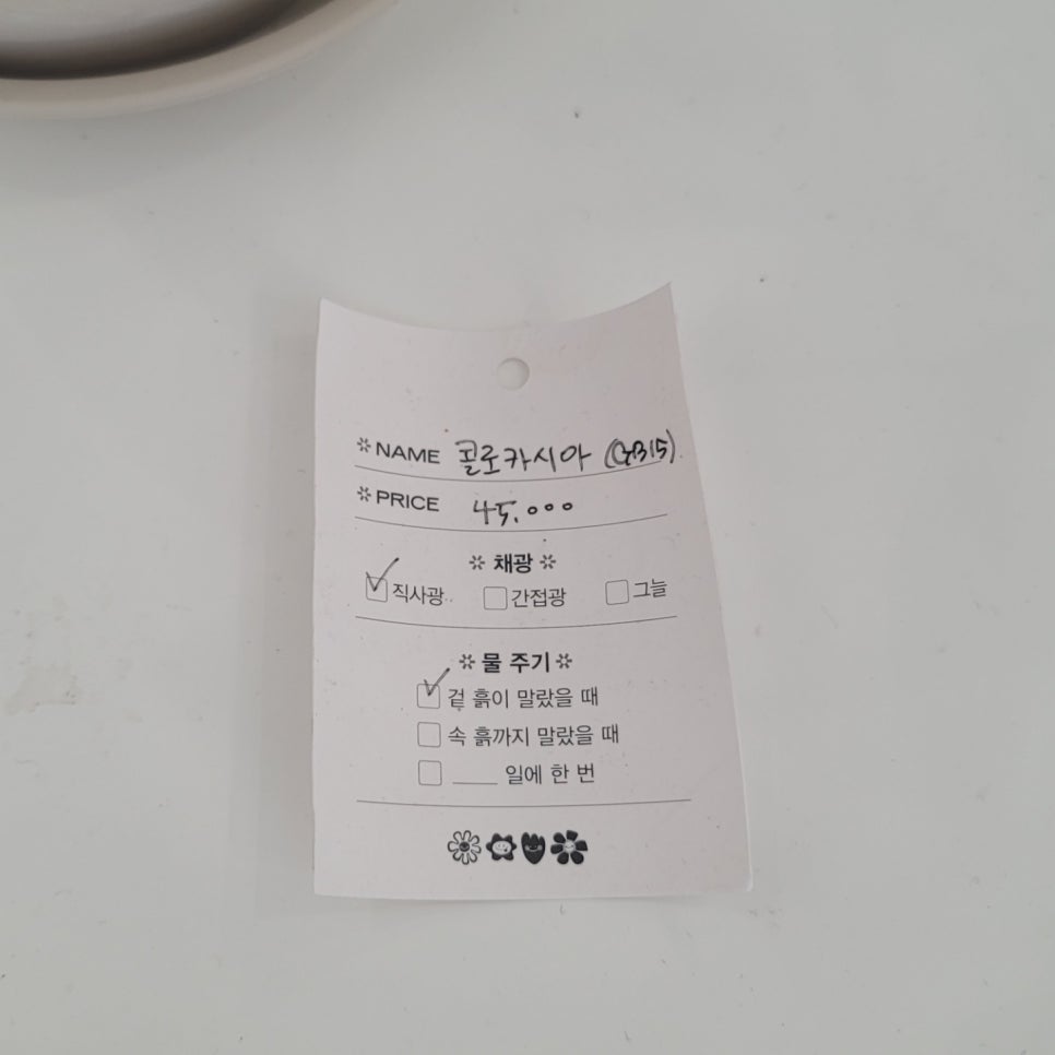 갤러리모란 이미지