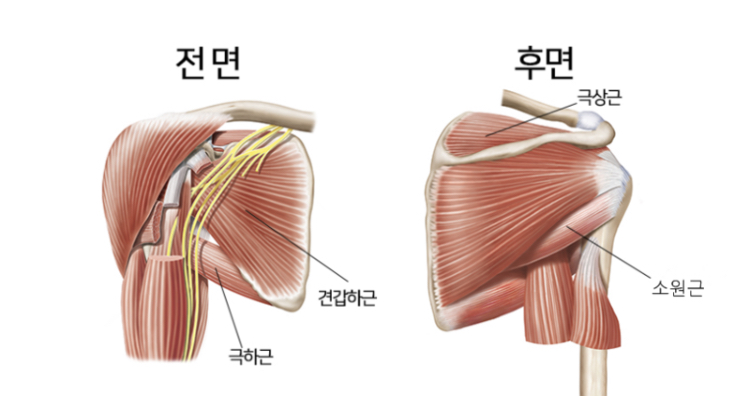 엘제이메디컬트레이닝 이미지