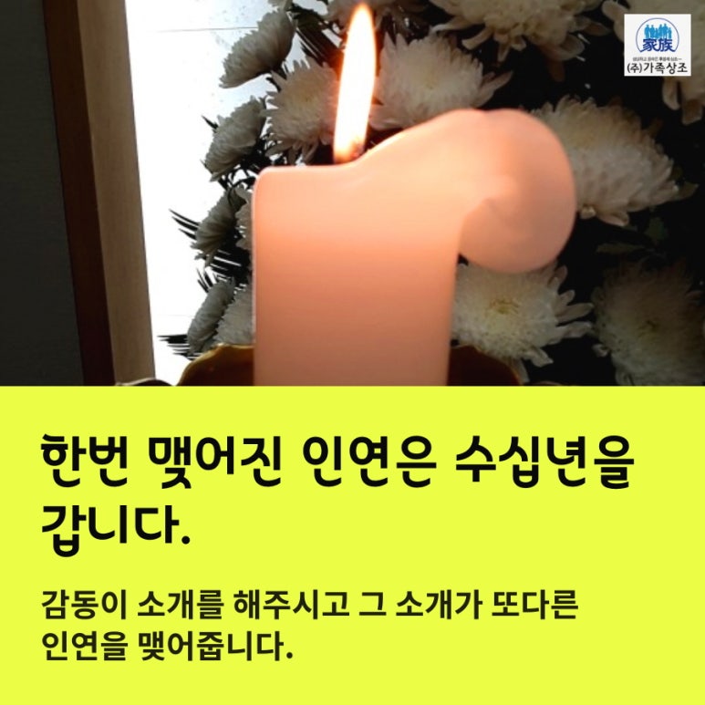 춘천상조 이미지
