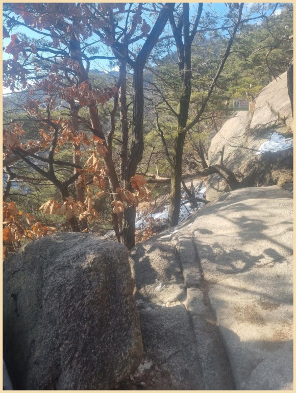 원꽈배기 이미지
