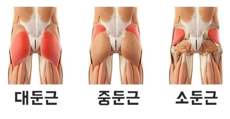 엘제이메디컬트레이닝 이미지