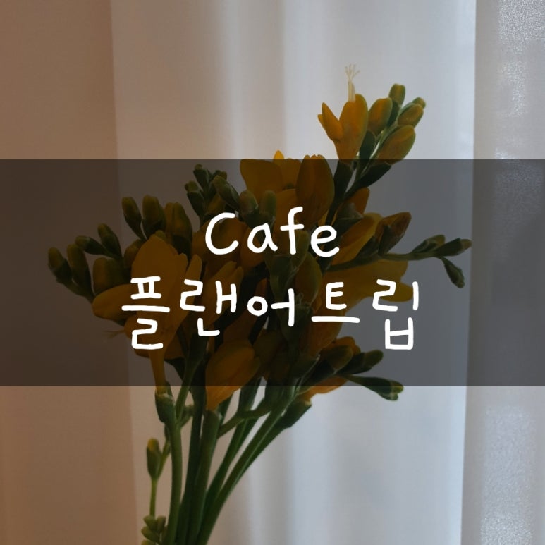 플랜어트립 이미지