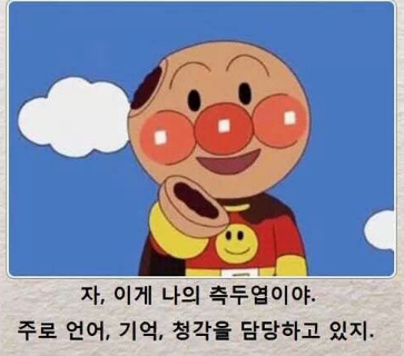 에콘 이미지