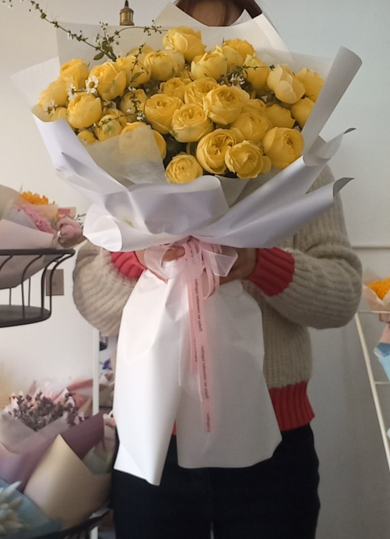 엘라임 이미지