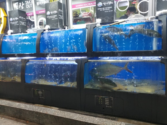 (주)비앤비포스 이미지