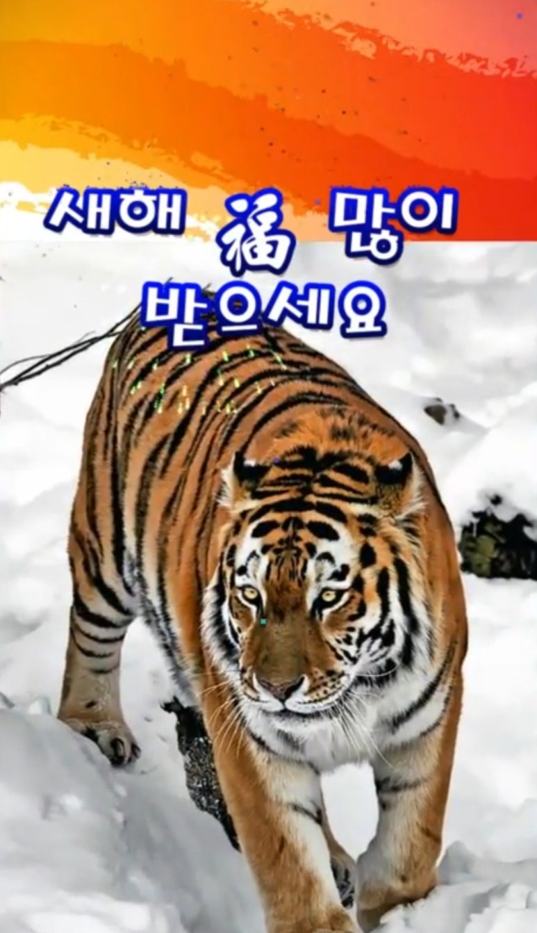 호랑이보부상 이미지