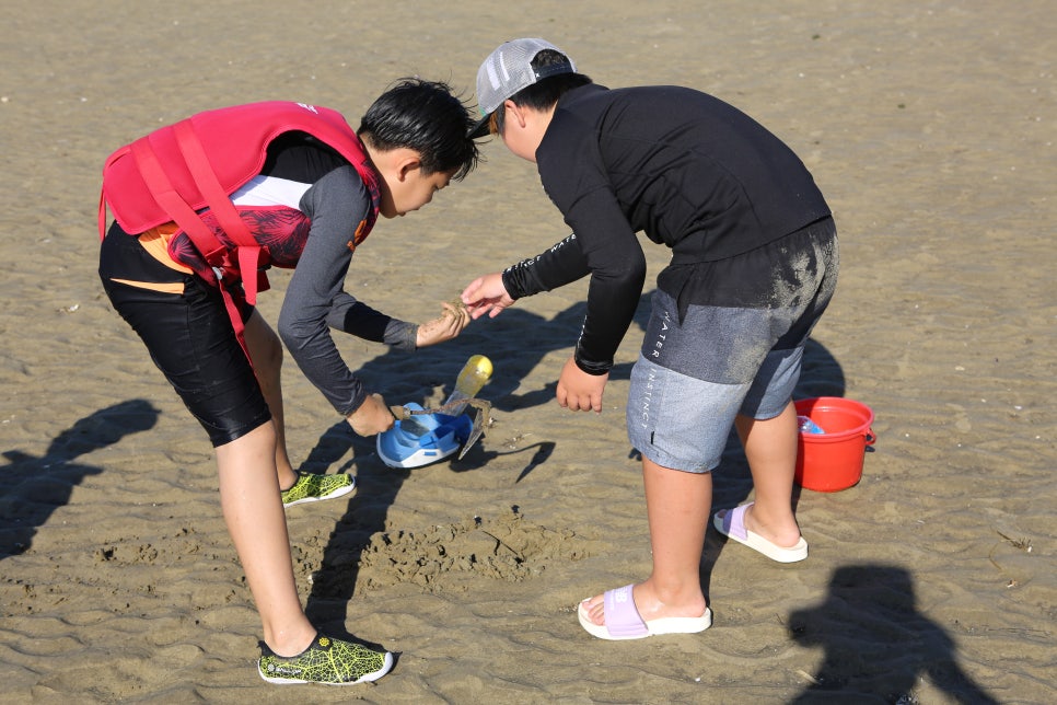 어은돌오토캠핑장 이미지
