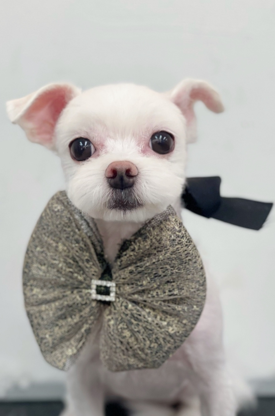 카페동천다하다 이미지
