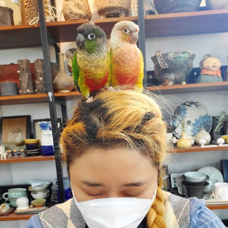 도예공방담 이미지