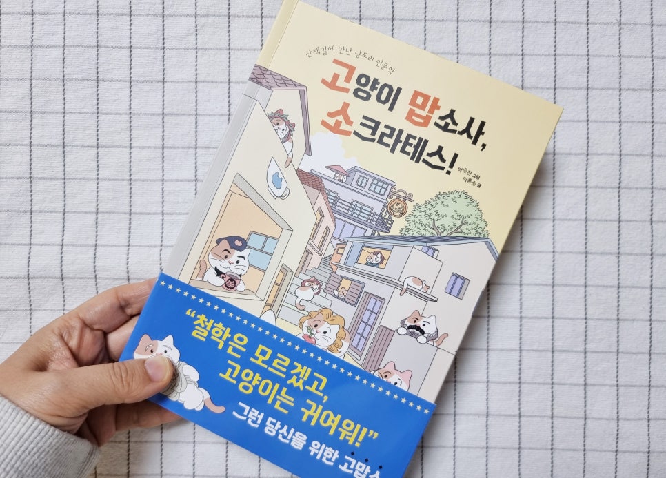 고크라테스 이미지