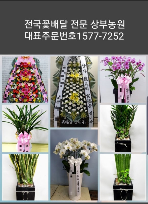 청양훈병원장례식장 이미지