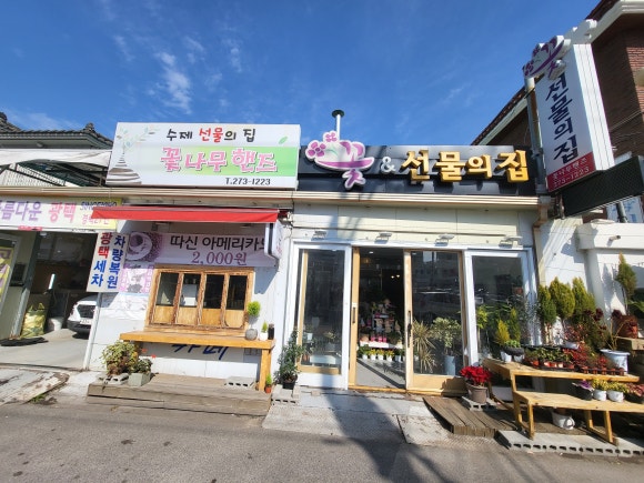 꽃나무핸즈 이미지