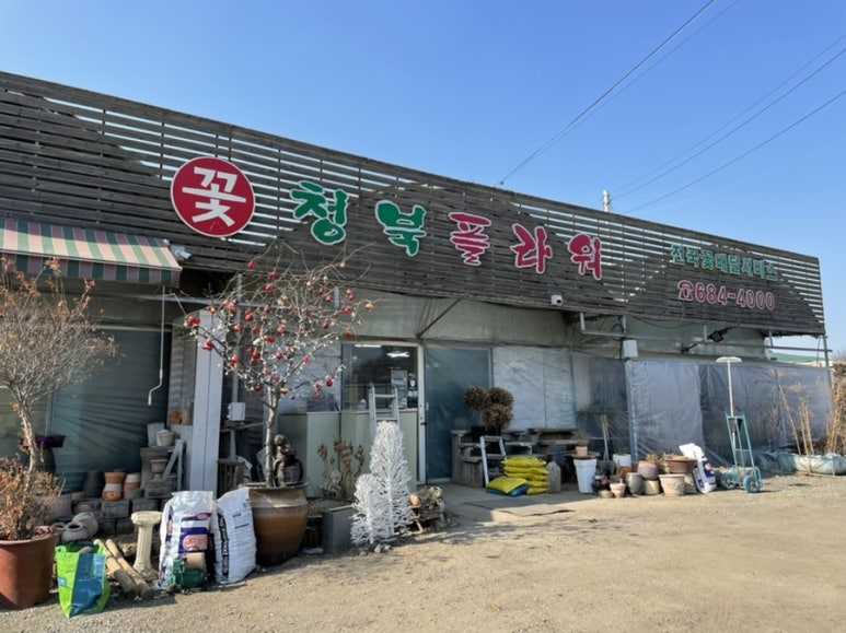 기버플라워 이미지