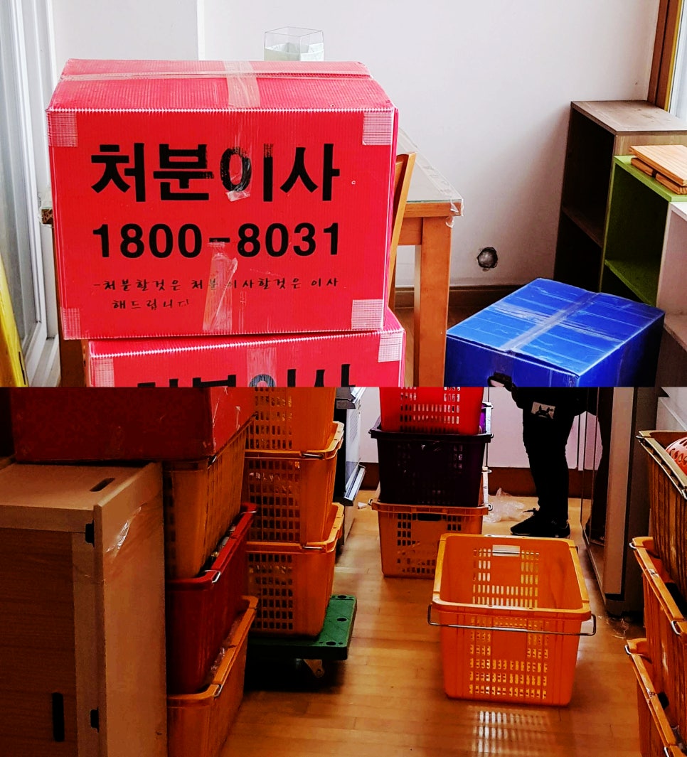처분이사 이미지