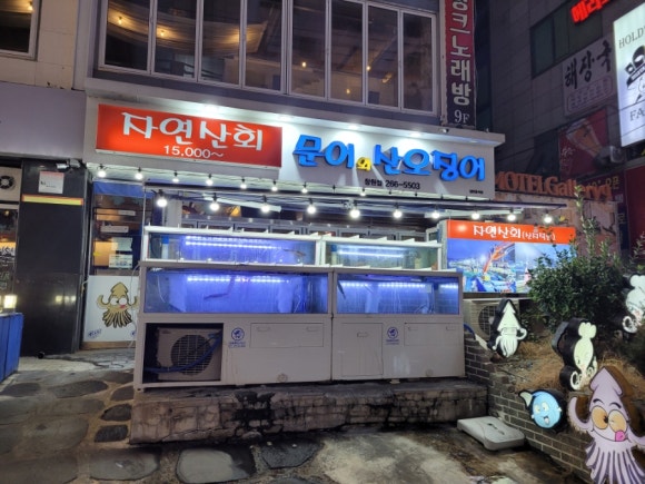 문어와산오징어 이미지