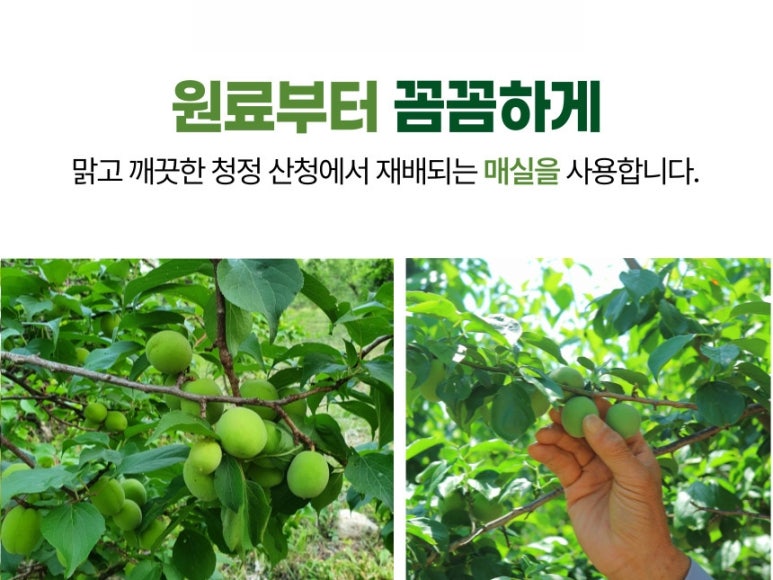 참들애바이오푸드 영농조합법인 이미지