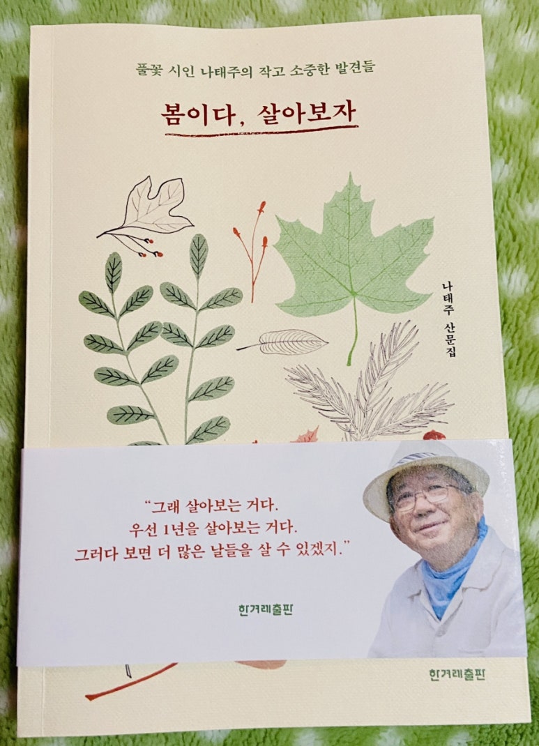 날마다 봄 이미지