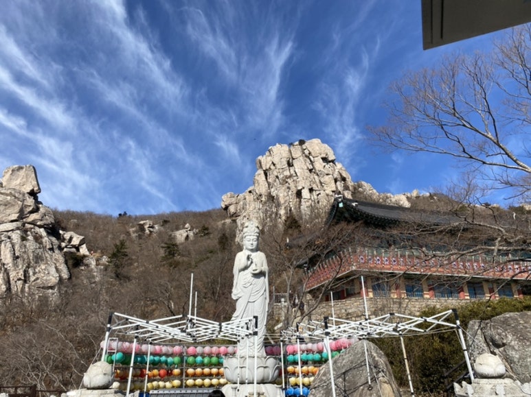 욕심내지않기 바지락칼국수 이미지