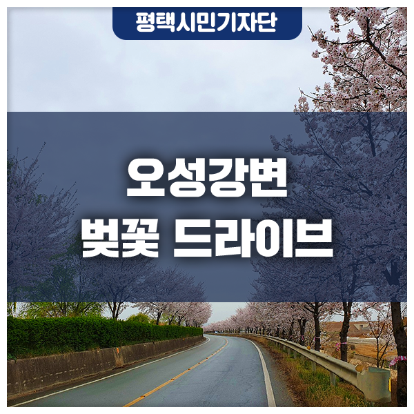 오성온 이미지