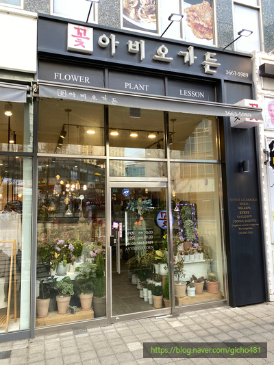 아비오가든 이미지