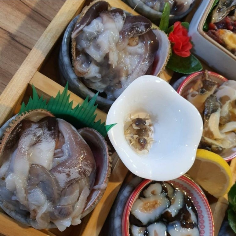싱싱회예찬 이미지