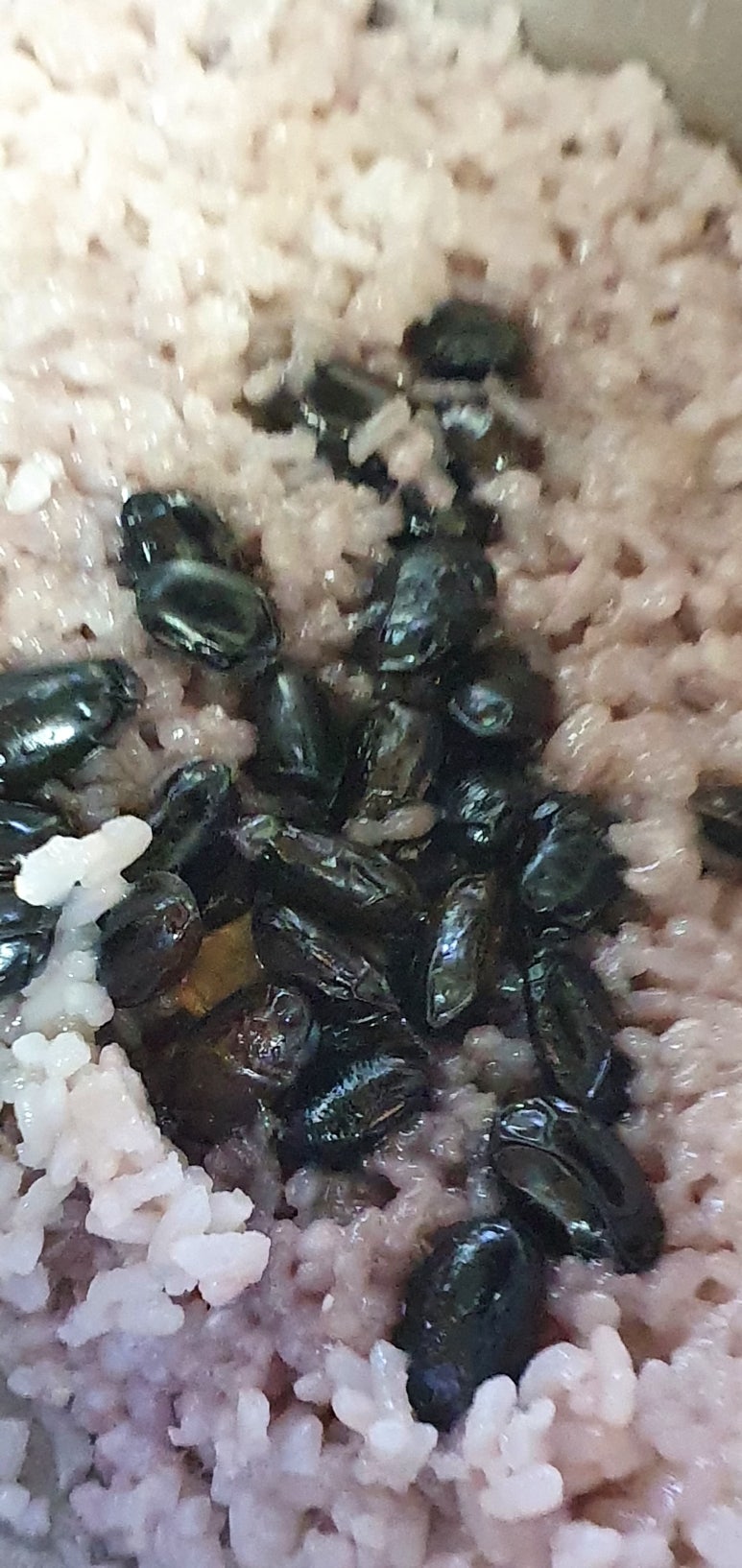 백운농산 이미지