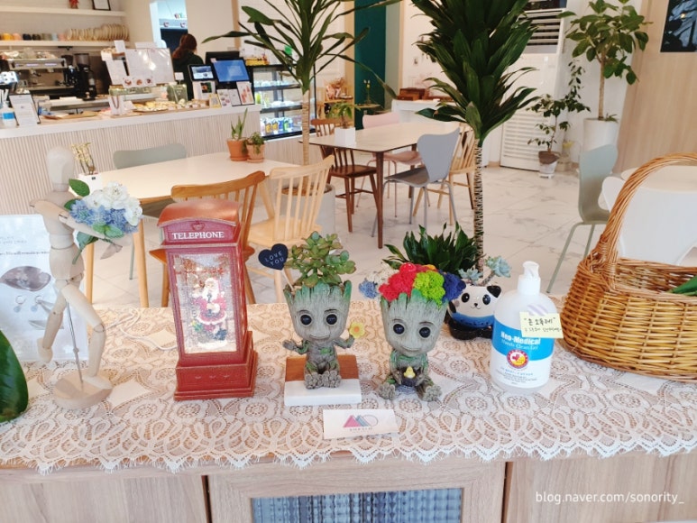 쉬시오라데 이미지