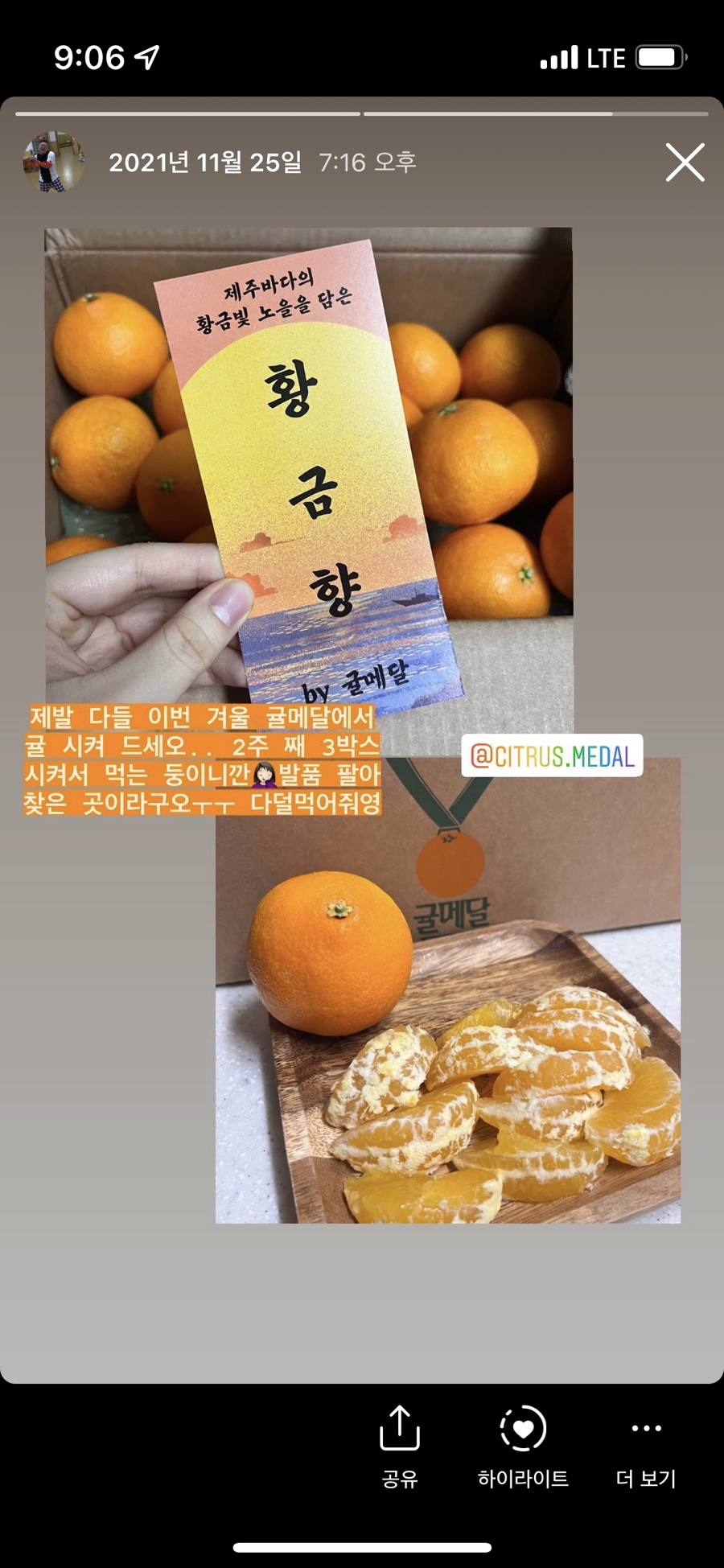 귤메달하우스 이미지