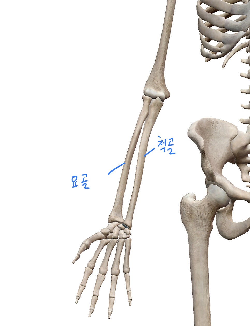 멧피트니스 이미지