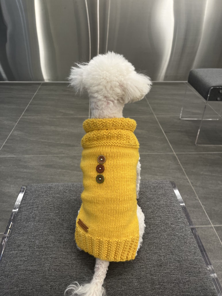 카페브이 이미지