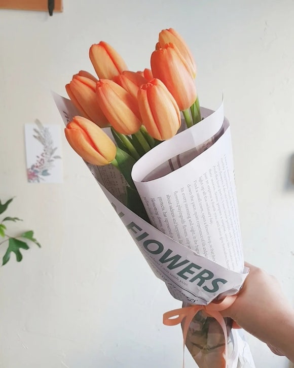 제이스블루메 이미지