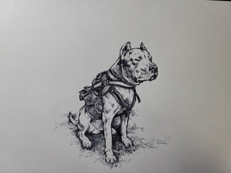 도고(DOGO) 이미지