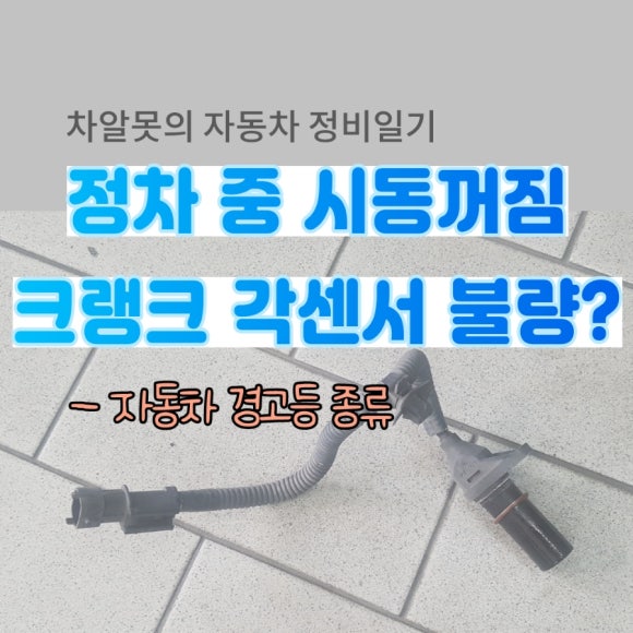 애니카랜드만수점 이미지