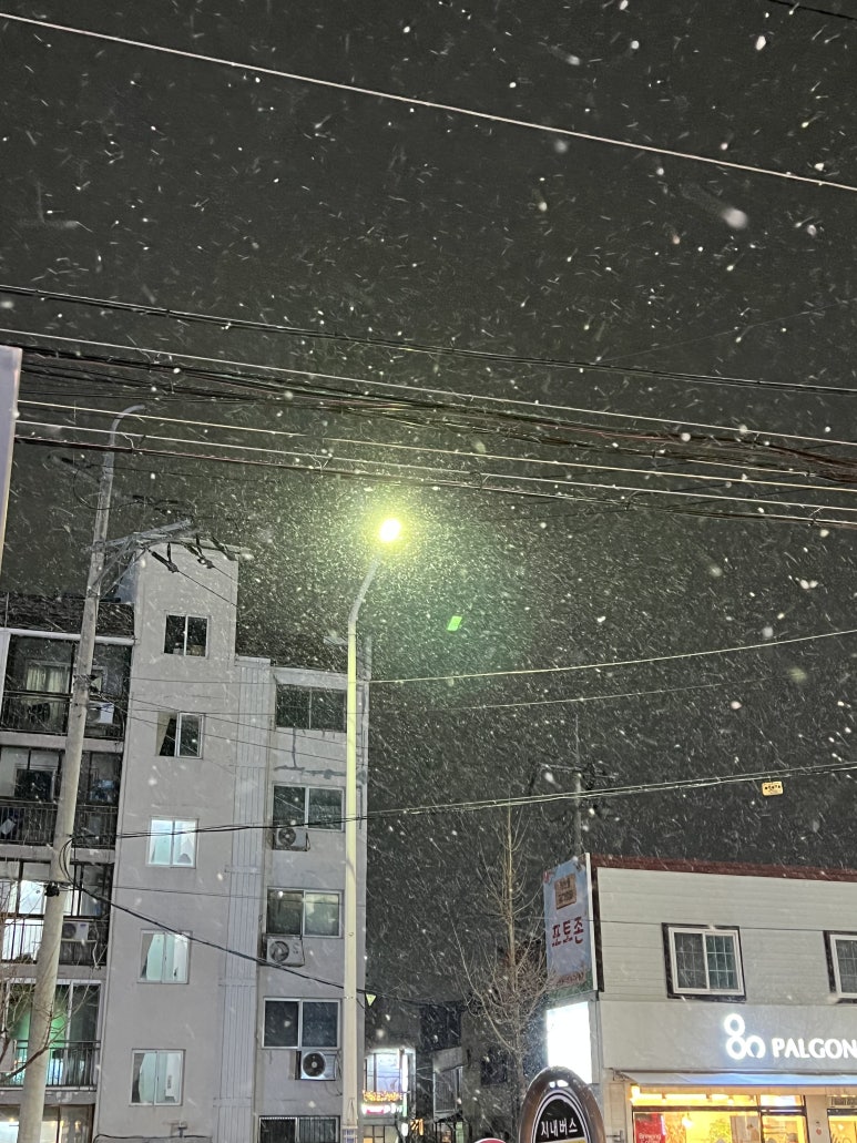 깐치호용산점 이미지
