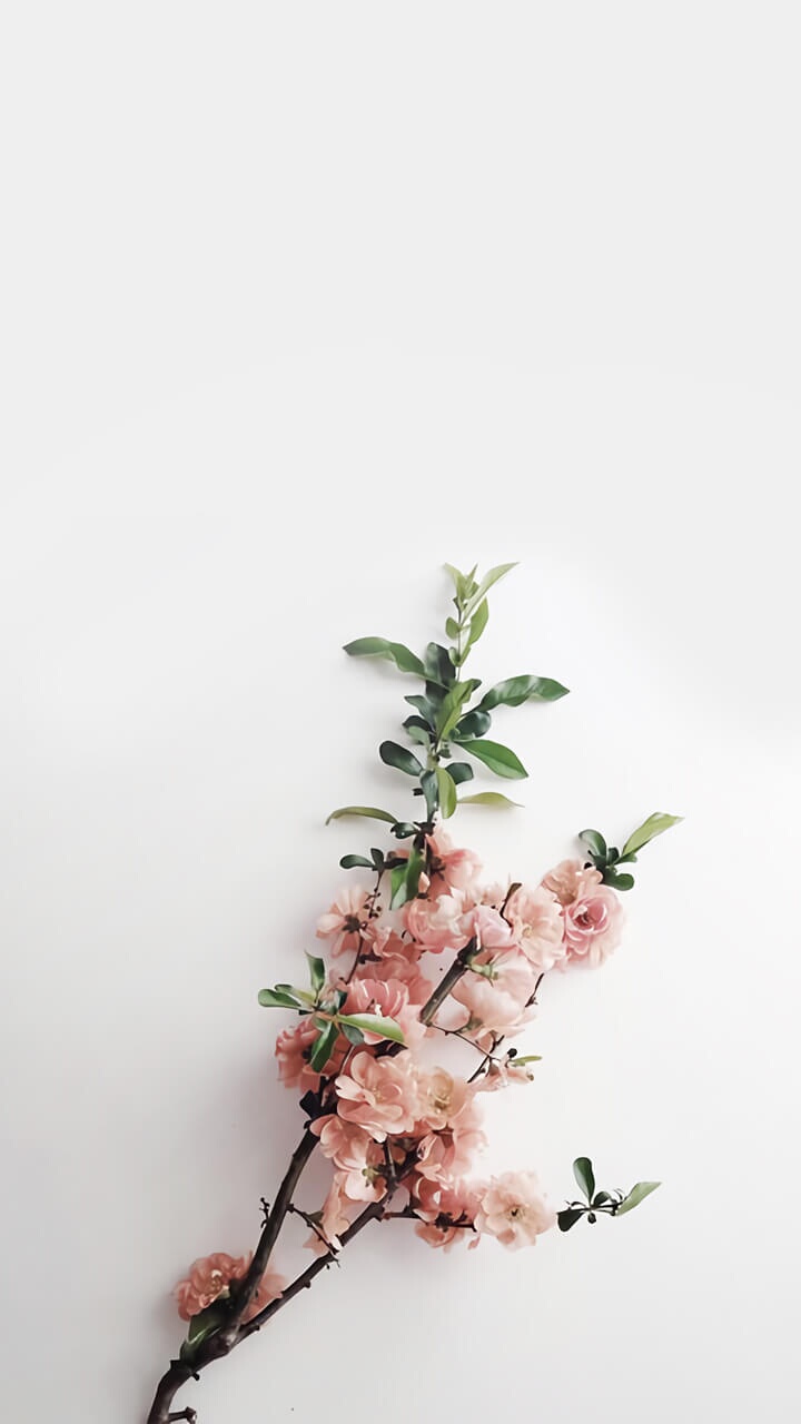 디자인 푸름 이미지