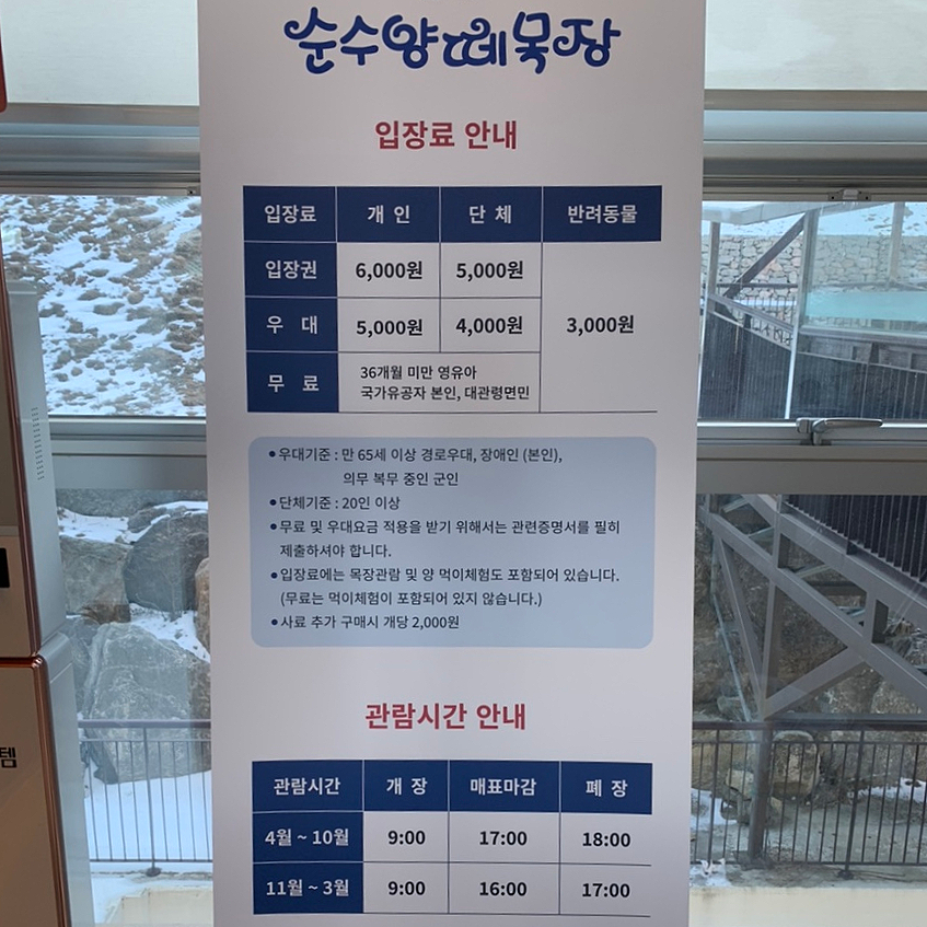 법인대관령순수양떼목장 이미지