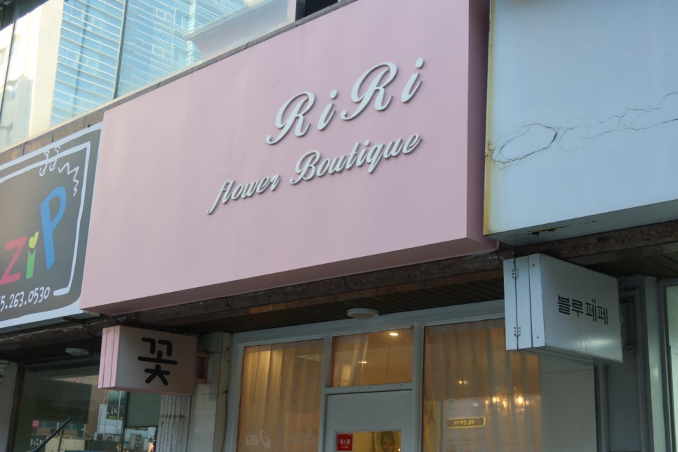 리리플라워 이미지