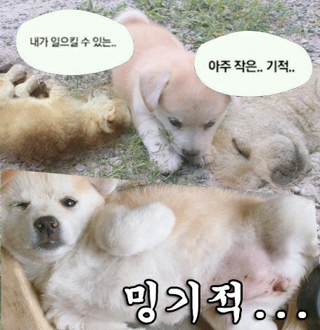 보니타스튜디오 이미지