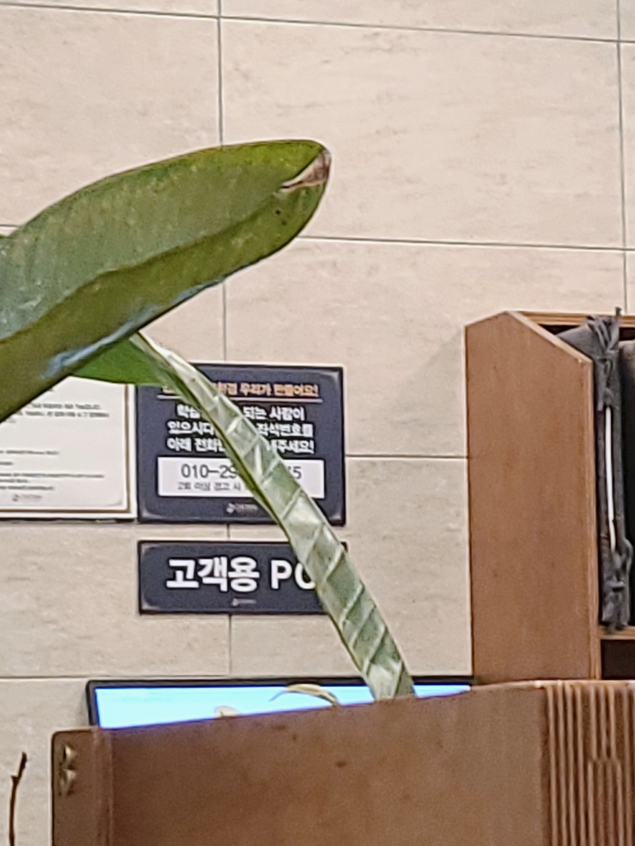 초심스터디카페하남 이미지