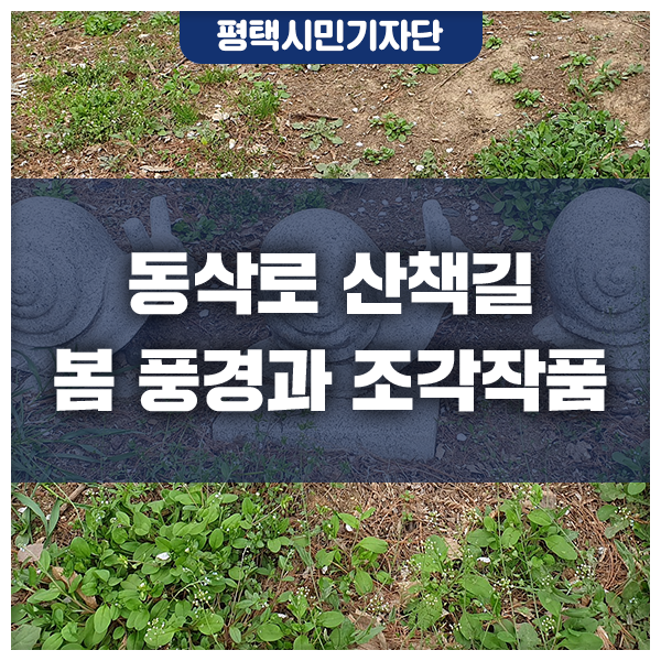 조각꽃피다 이미지