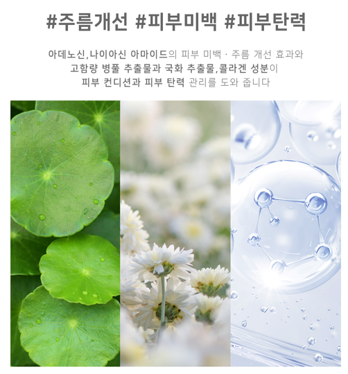 금빛에너지 이미지