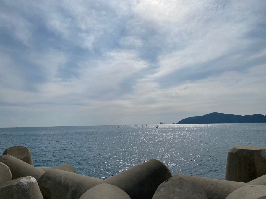 구뜨밀 이미지
